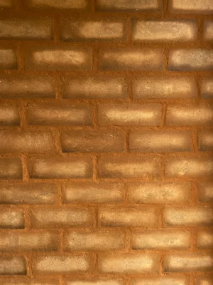 Bloque de tierra comprimida BTC